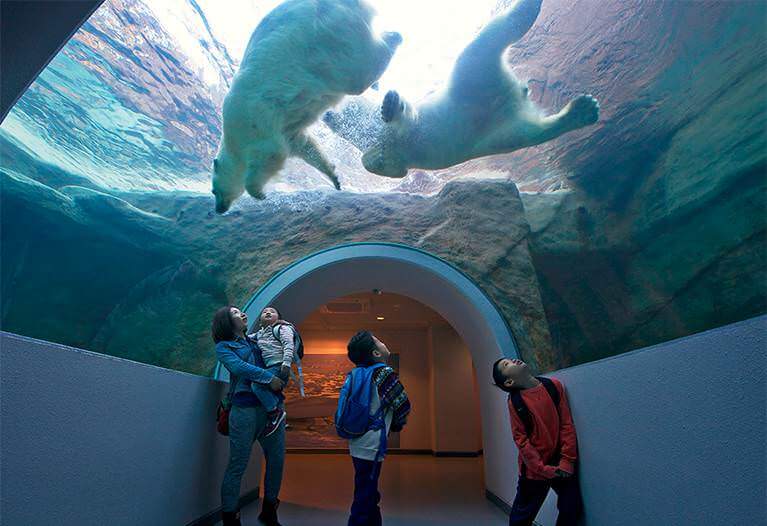 日本平動物園 写真