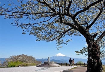 日本平 吟望台 写真